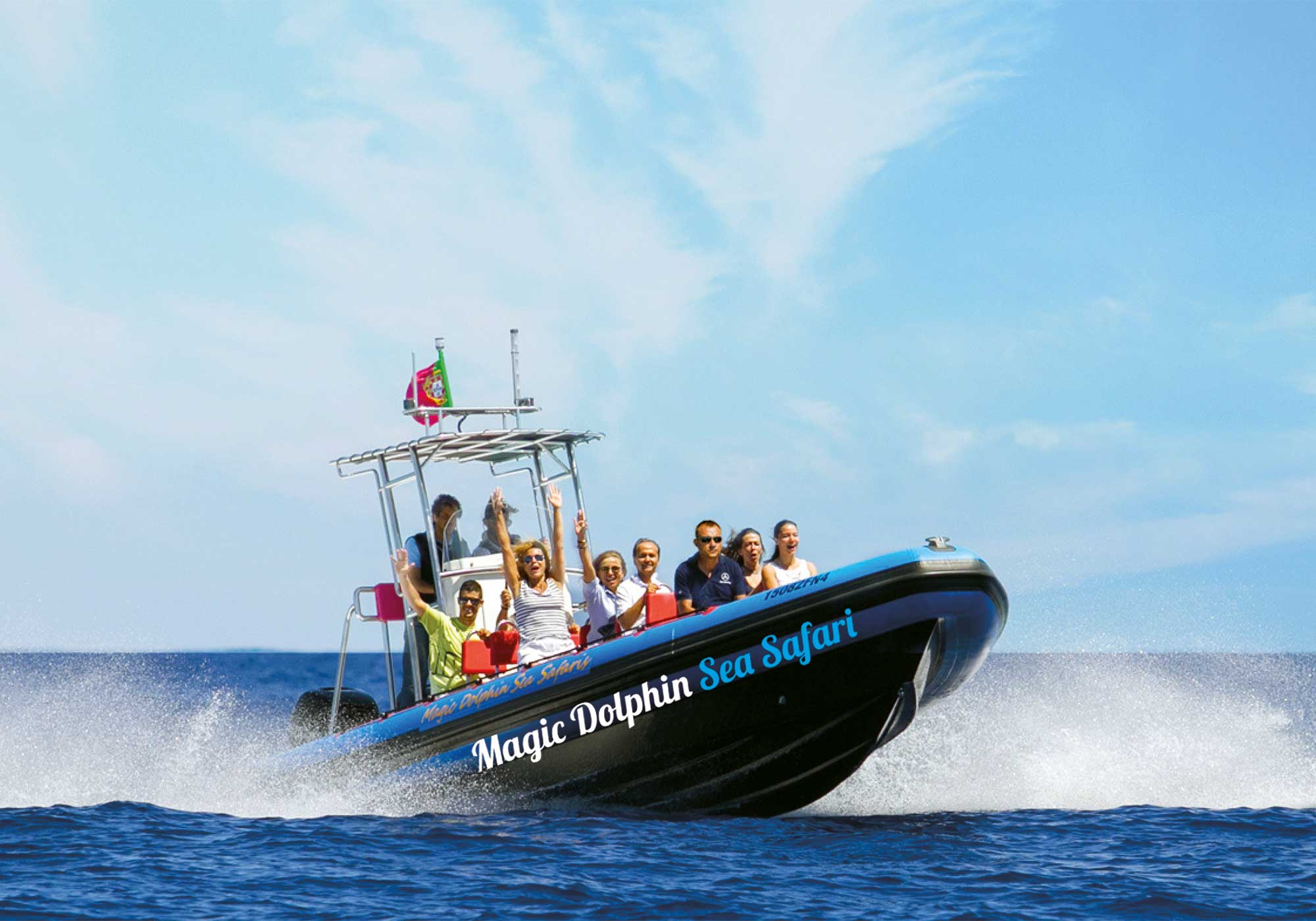 Enjoy a thrilling dolphin and whale watching adventure on the Sea Safari tour from Funchal.