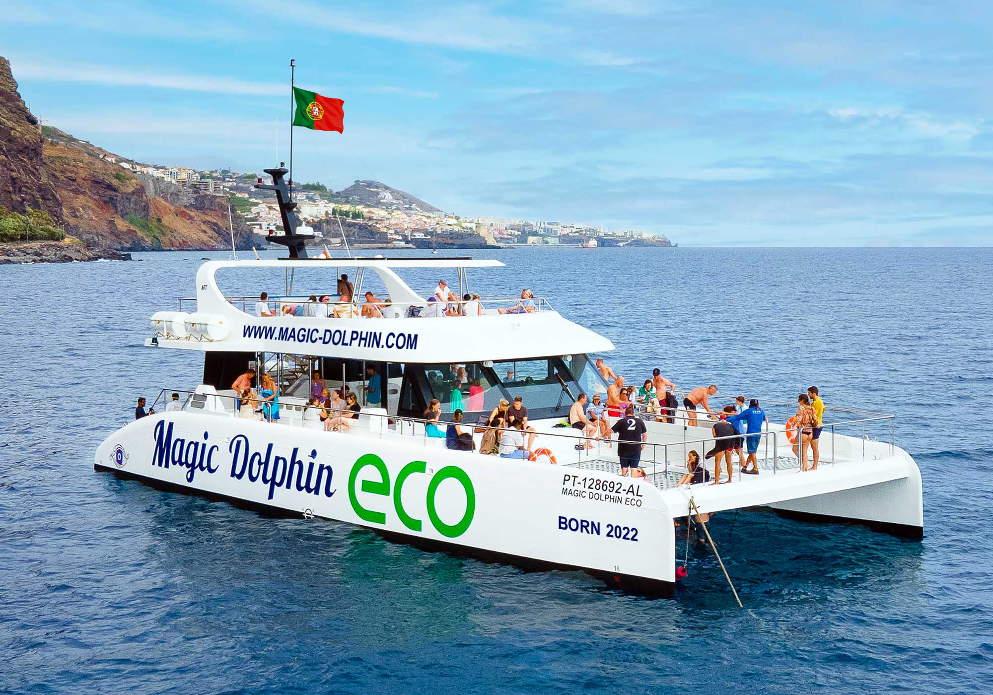 Madeira dolphin and whale watching onboard an ecological catamaran with hybrid-electric engines.