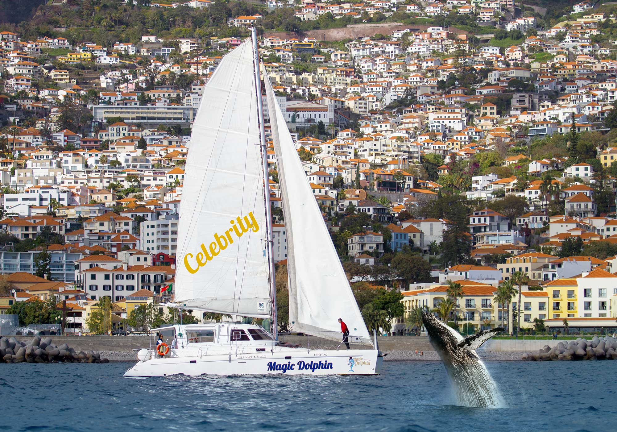 Exclusive cruising on the Magic Dolphin Celebrity catamaran on a private tour for up to 35 guests.