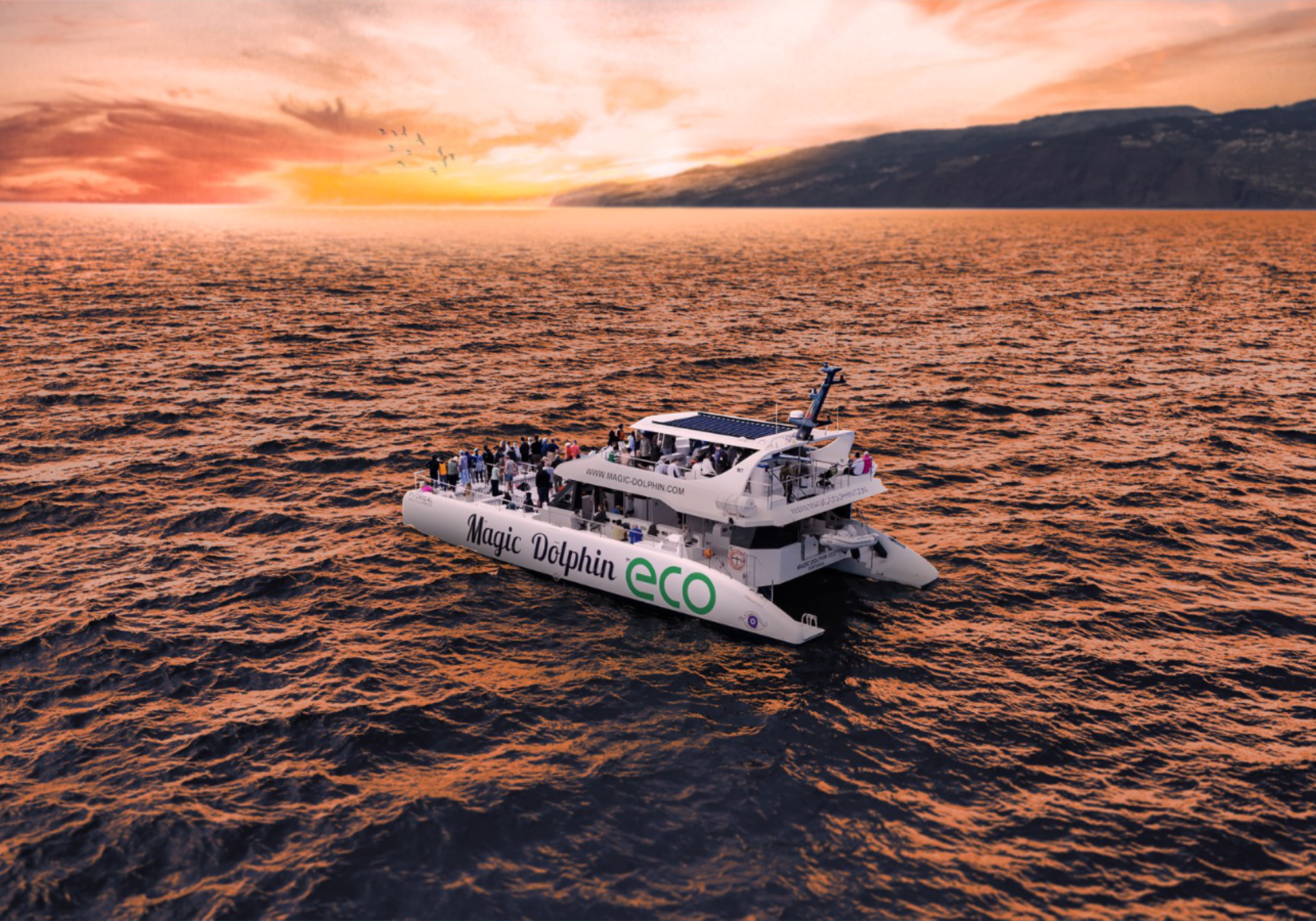 Eco Catamaran Sunset cruise tour